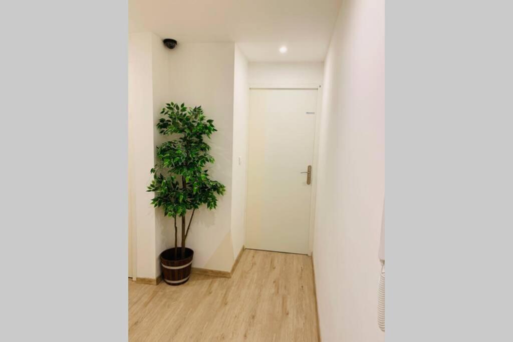 Provence Appartement Μανόσκ Εξωτερικό φωτογραφία